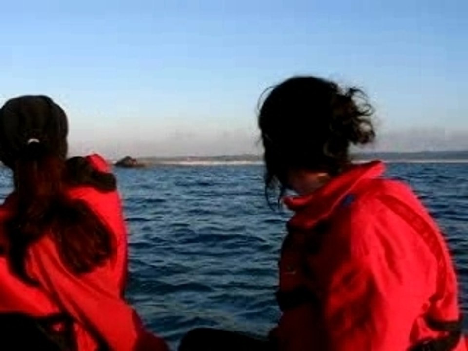 Pêche 01