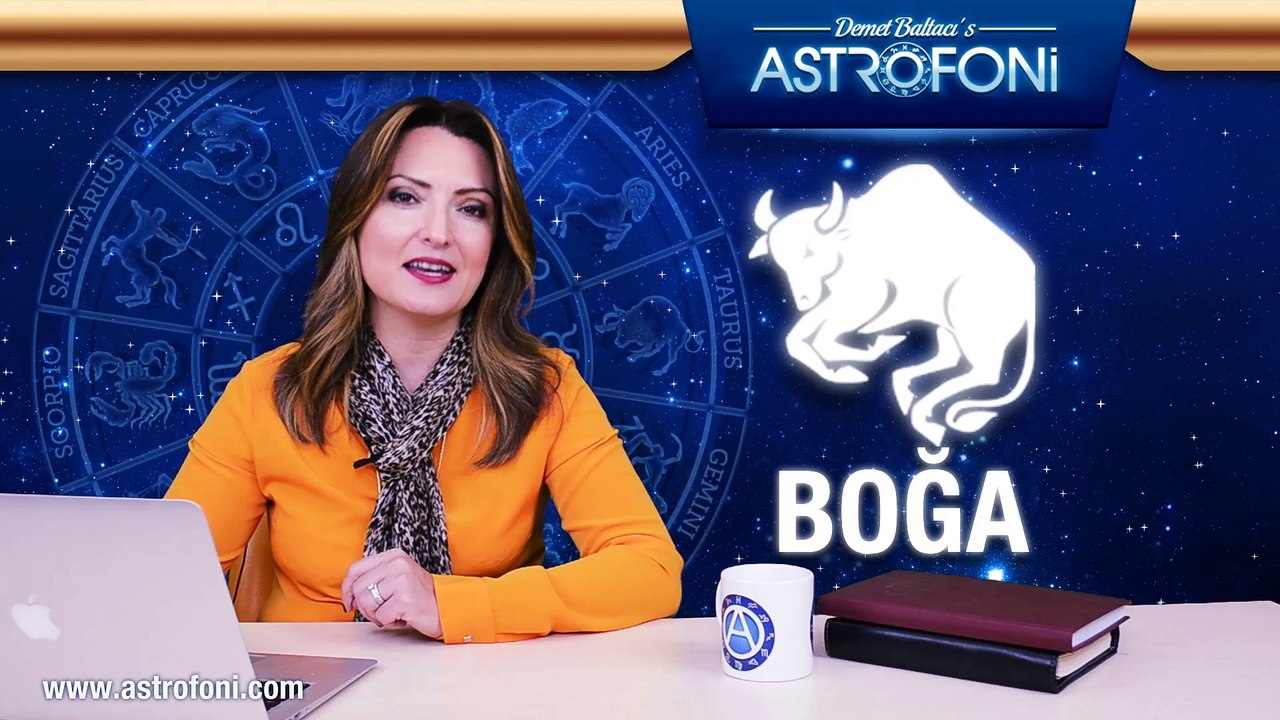 Boğa