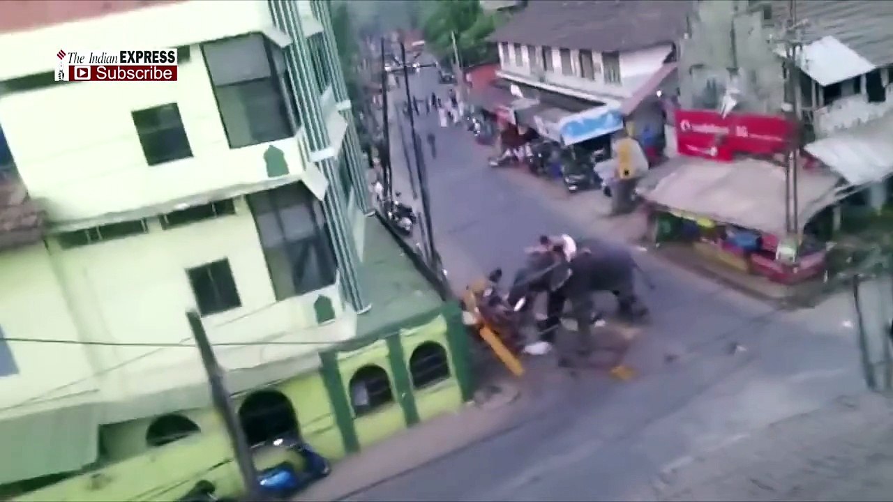 Eléphant fou dans Puthiyapalam Kozhikode City, Kerala