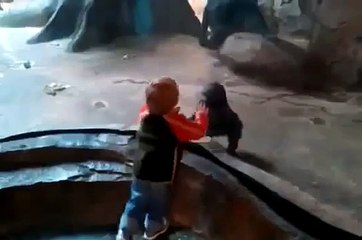 Mom monkey does not allow her to play with people