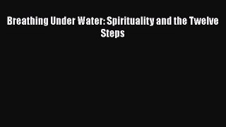 (PDF Download) Breathing Under Water: Spirituality and the Twelve Steps Download