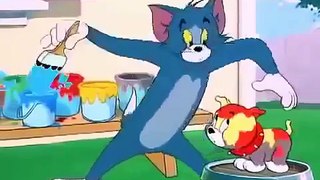 Tom And Jerry Cartoon in Urdu