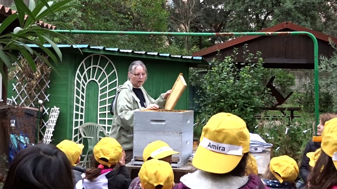 AU JARDIN PEDAGOGIQUE notre amie Michèle explique la vie de la ruche