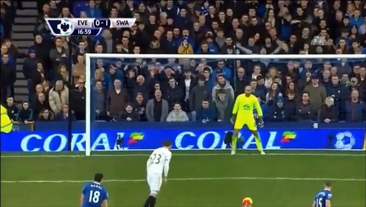 EvertonSwansea City 12 highlights 24-01-16