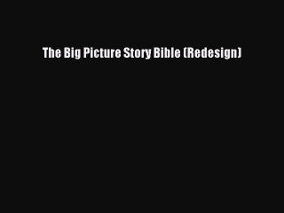 (PDF Download) The Big Picture Story Bible (Redesign) Read Online