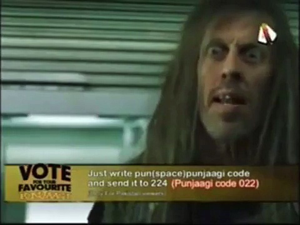 Punjabi Totay - Neo