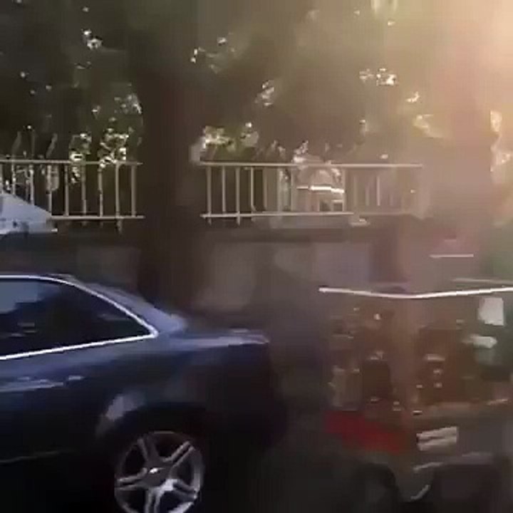 Detone Olan Simitçi Vine