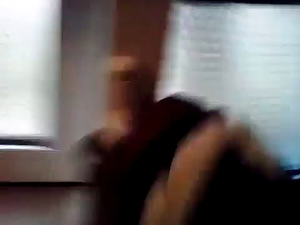 Pussy Cat Miau - Gato Miau