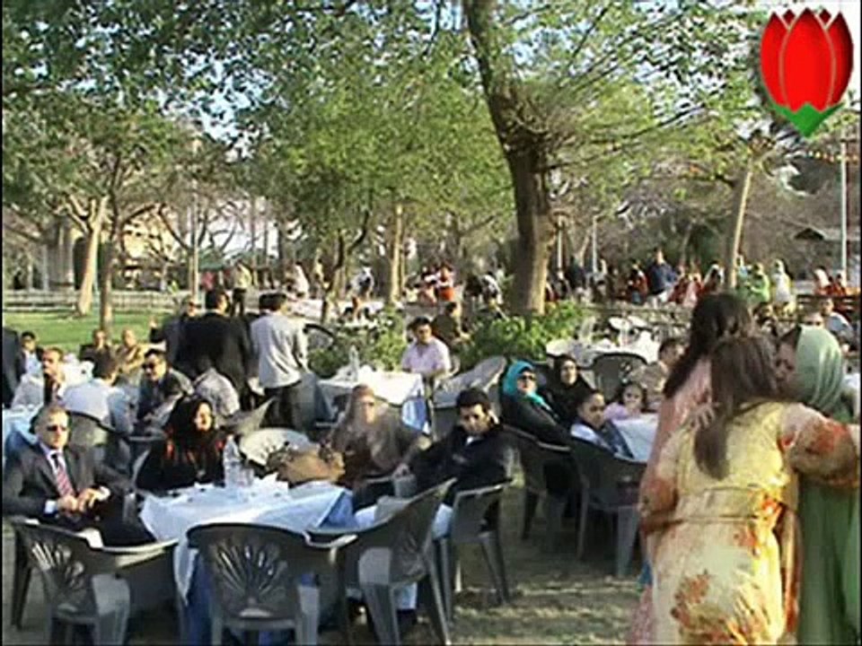 Ayyubid Kurds in Egypt