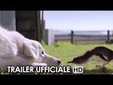 Giotto l'amico dei pinguini Trailer Ufficiale Italiano (2015) HD