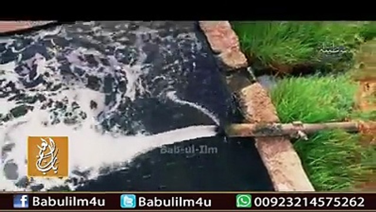 مدینہ پاک کی ایک ایسی نایاب ویڈیو جو آپ نے آج سے پہلے کبھی نہیں دیکھی ہو گی