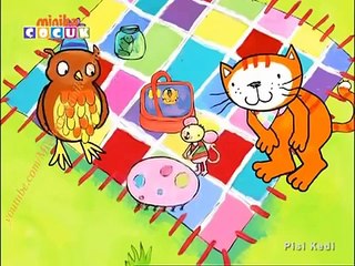 pisi kedi- acemi kus