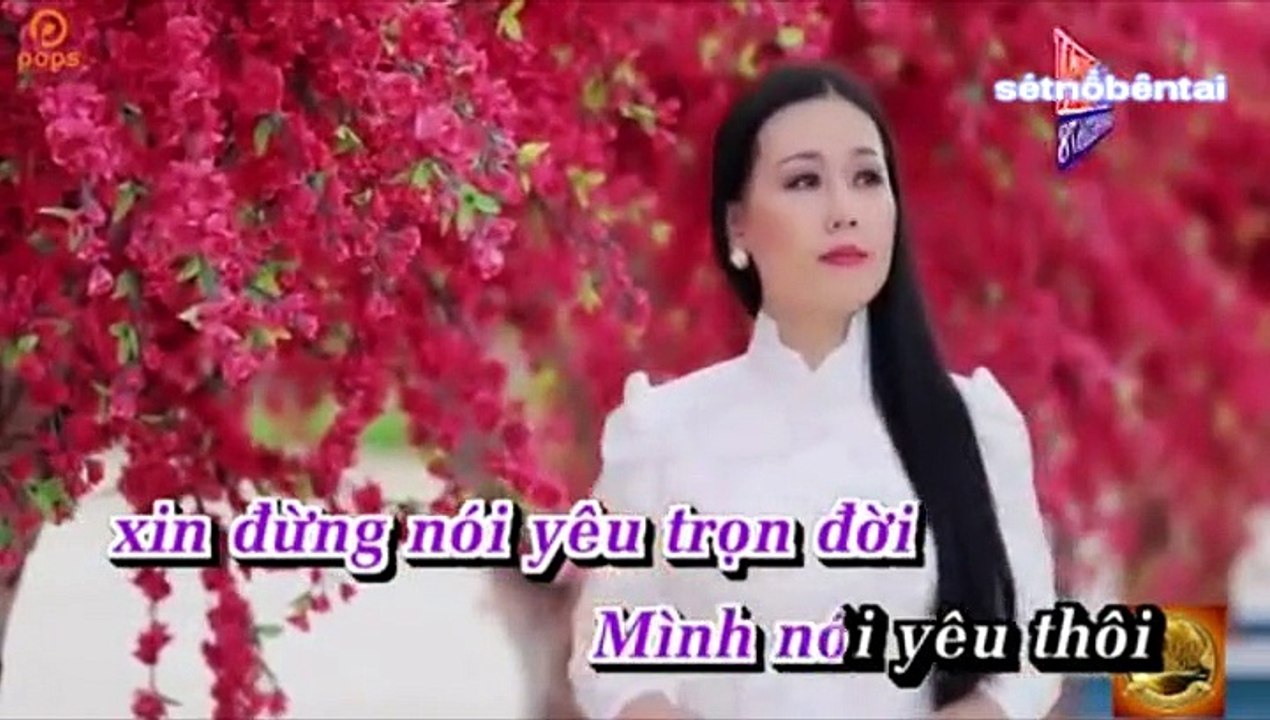 Karaoke Đừng Nói Yêu Mãi Mãi _Lưu Ánh Loan