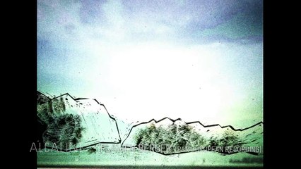 Alcaline, l'Instant - Flavien Berger