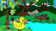 Cinco Patitos 5 kleine Enten Bilingual Mix Español Alemán Yleekids