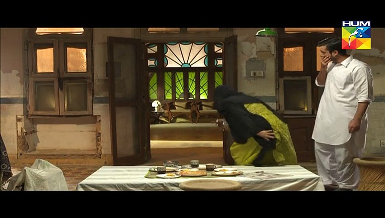 Mann Mayal Episode 01 Full Hum TV Drama 25 Jan 2016
