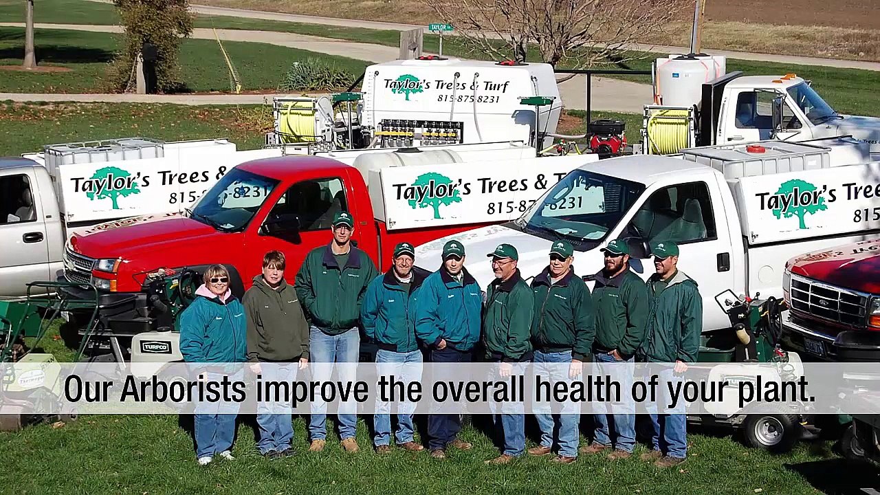 Lawn Care Maintenance Made Easy With Taylor Trees And Turf