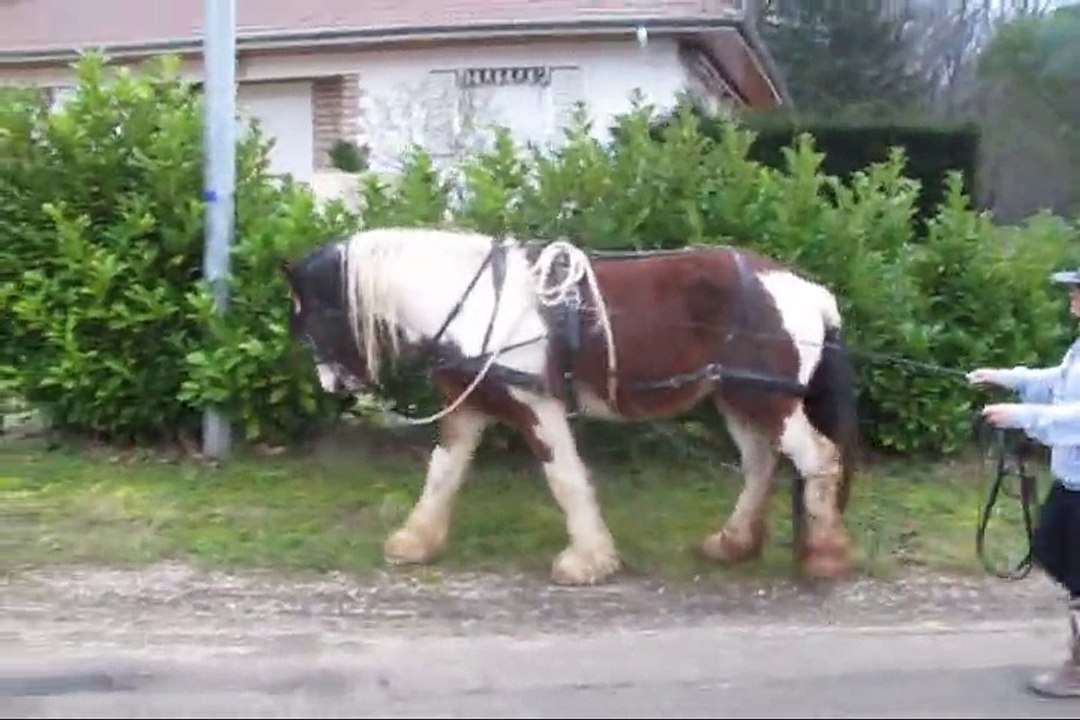 Dakkota