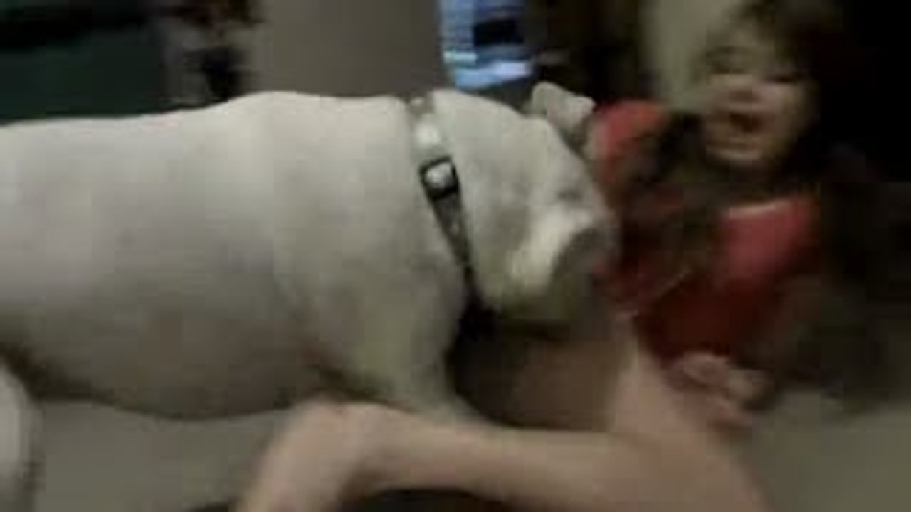 DOG Vs GIRL - Dailymotion Video. 