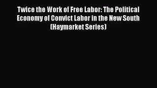 Twice the Work of Free Labor: The Political Economy of Convict Labor in the New South (Haymarket