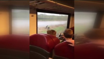 Beelden: Spoorloper opgepakt bij Kropswolde - RTV Noord