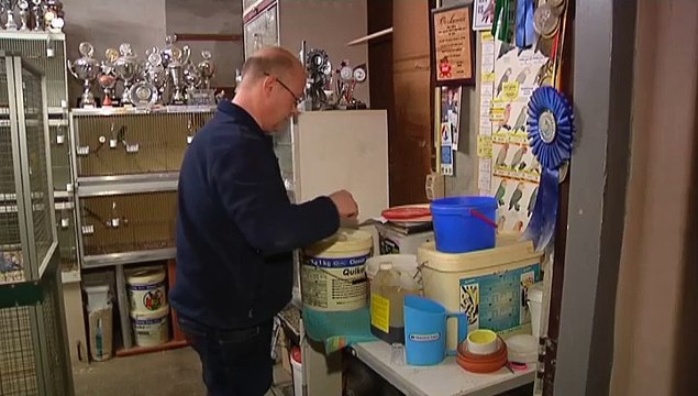 Trots op mijn mannetje - RTV Noord