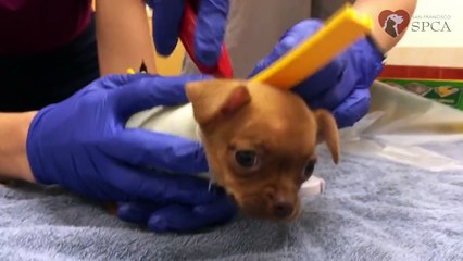 Heureusement qu'il y a encore des personnes formidables dans cette société