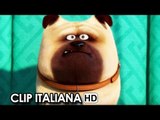 Pets - Vita da animali Clip Italiana 'Mel' (2016) HD