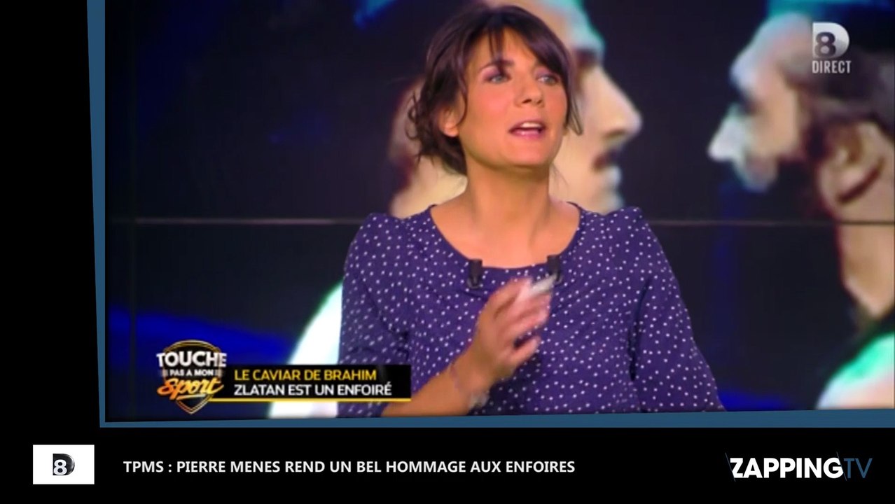 TPMS : Pierre Ménès rend hommage aux Enfoirés après l'apparition de Zlatan Ibrahimovic (vidéo)