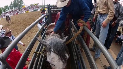 The Wild West True Grit ( Nat Geo WILD )