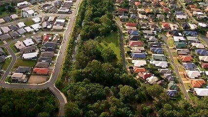 Koalas Slow Life In The Fast Lane ( Nat Geo WILD )