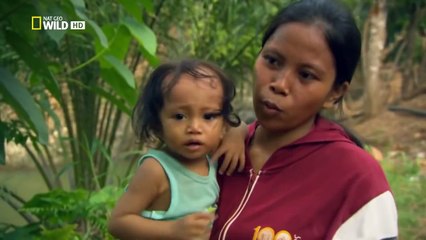 Monster Croc Hunt ( Nat Geo WILD )