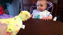 Self-last baby with toy chicken ovulation (Oyuncak Tavuğun Yumurtlamasıyla Kendinden Geçen