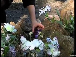 moterys meluoja geriau 1 sezonas 69 serija