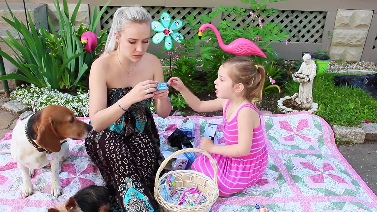 PICNIC FUN with Disney FROZEN Mystery Minis Palace Pets MLP Squishy POPs Care Bears Toy Surprises