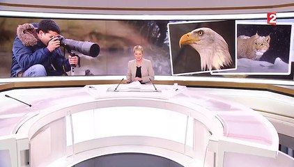 Feuilleton : chasseurs d'images (2/5)