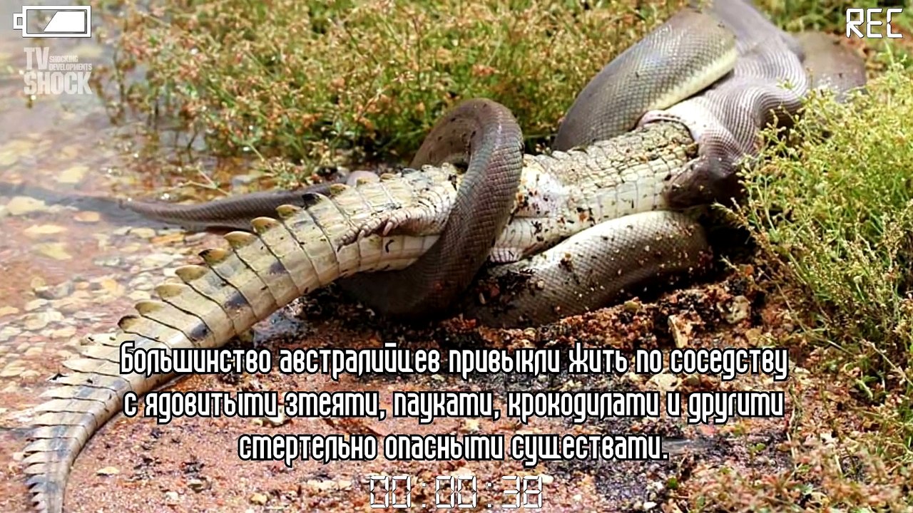 15 УЖАСНЫХ ФАКТОВ ПРО АВСТРАЛИЮ