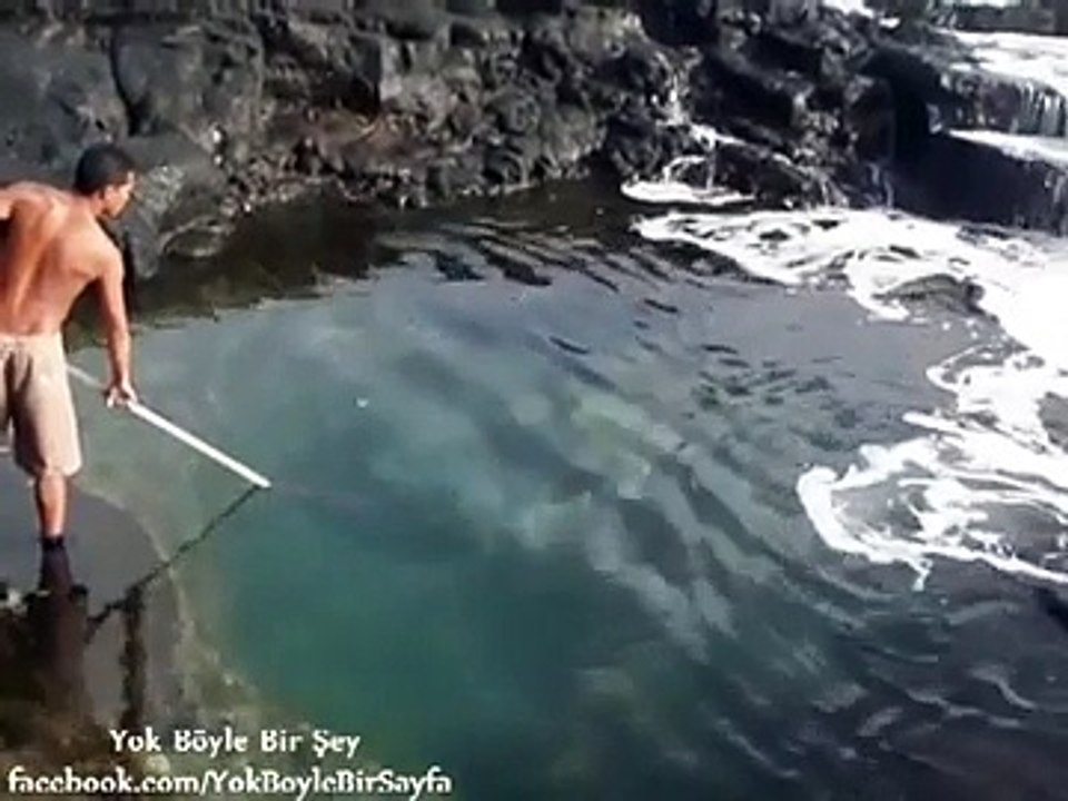 Yok Böyle Bir Balık Avlama Tekniği Yok Böyle Bir Şey