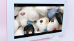 9 inch Quad Core Allwinner A33 dual camera wifi Bluetooth 512M+8G Android 4.4 4000mAh Resolution:1024x600 Pixels free shipping!!-in Tablet PCs from Computer