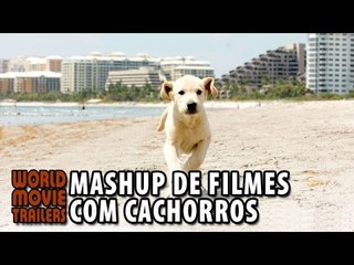 "O melhor amigo do homem" Mashup de Filmes Com Cachorros (2015) HD