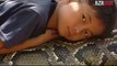 snake and a boy amazing video must watch- Video Dailymotion