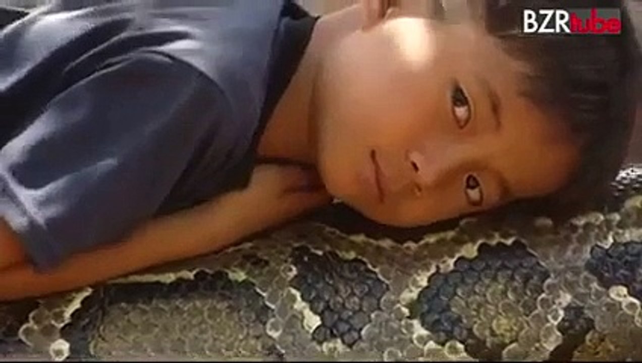 snake and a boy amazing video must watch- Video Dailymotion