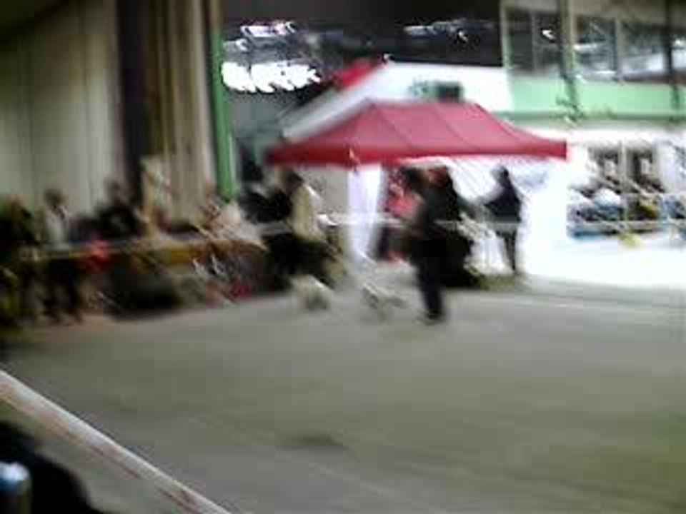 suite expo troyes 2006