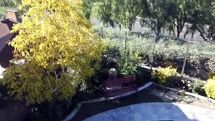 Facetime Hack: What You Need to Know