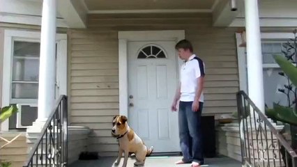 An Insight int Fou Tim World Champion Sebastian Vettel