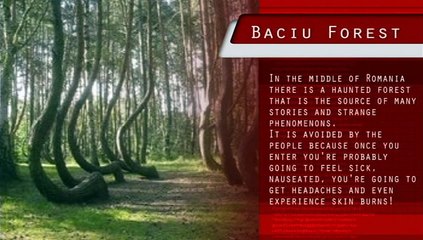 The haunted forest - Baciu - UFO and paranormal activity