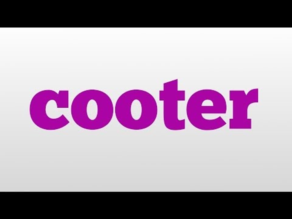 cooter meaning and pronunciation
