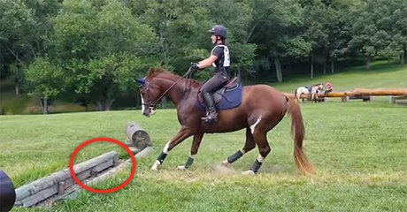 Kararsız kalan at bakın ne yaptı...