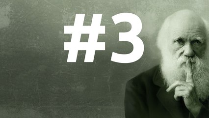 SLEDD #3 du 18 Septembre 2010, Nos mémoires