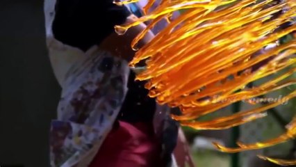 The Best Gags Funny Video Funniest